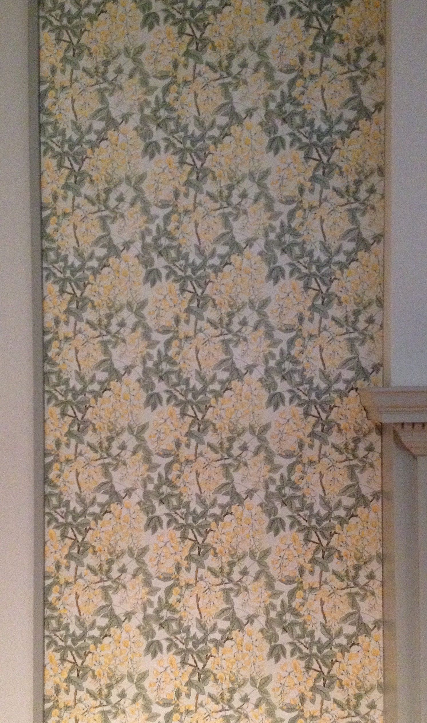 A&amp;R Garrett Laburnum Wallpaper